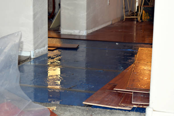 Professional Basement Flooding technician working in Owensville, IN